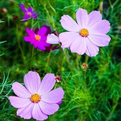 bat·365(中国)在线登录入口